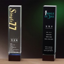 우드 포인트 크리스탈 트로피