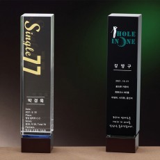 우드 포인트 크리스탈 트로피