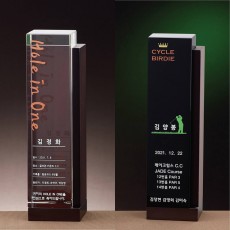 우드 크리스탈 트로피