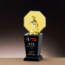 황경 크리스탈 트로피