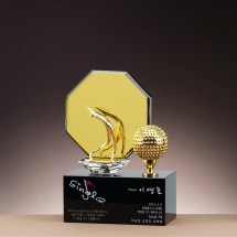 황경 크리스탈 트로피