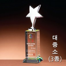 별 해드 크리스탈 트로피