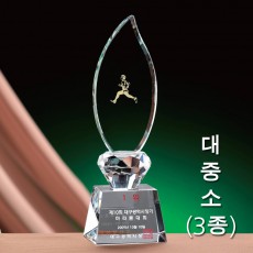 불꽃 크리스탈 트로피