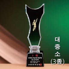 새총 크리스탈 트로피