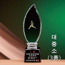 불꽃 크리스탈 트로피