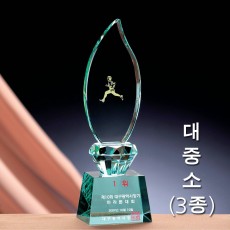 불꽃 그린 크리스탈 트로피