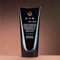 블랙 드라이브 크리스탈 상패